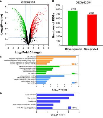 Identification and Validation of Afatinib Potential Drug Resistance Gene BIRC5 in Non-Small Cell Lung Cancer